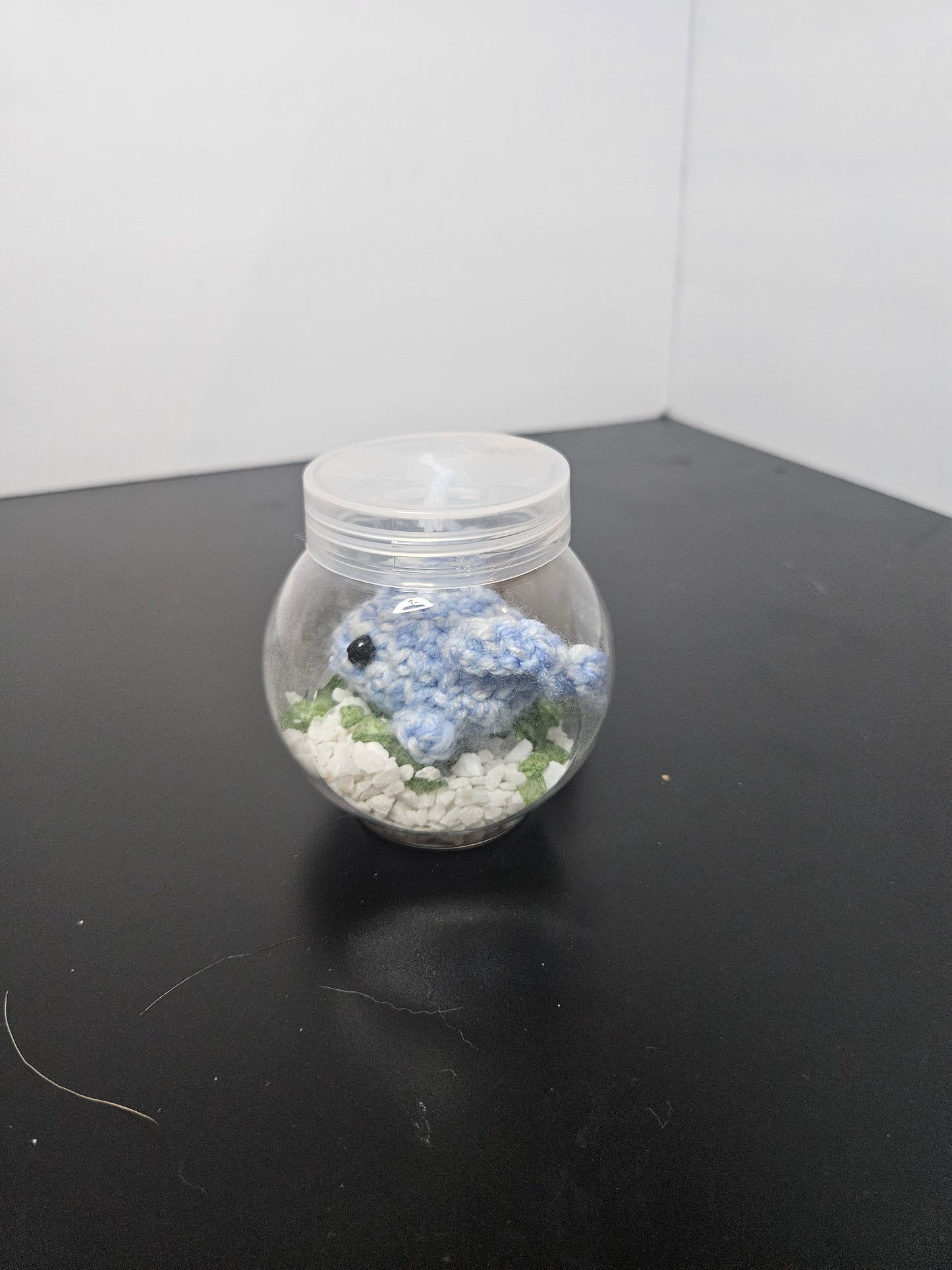 Dolphin mini aquarium
