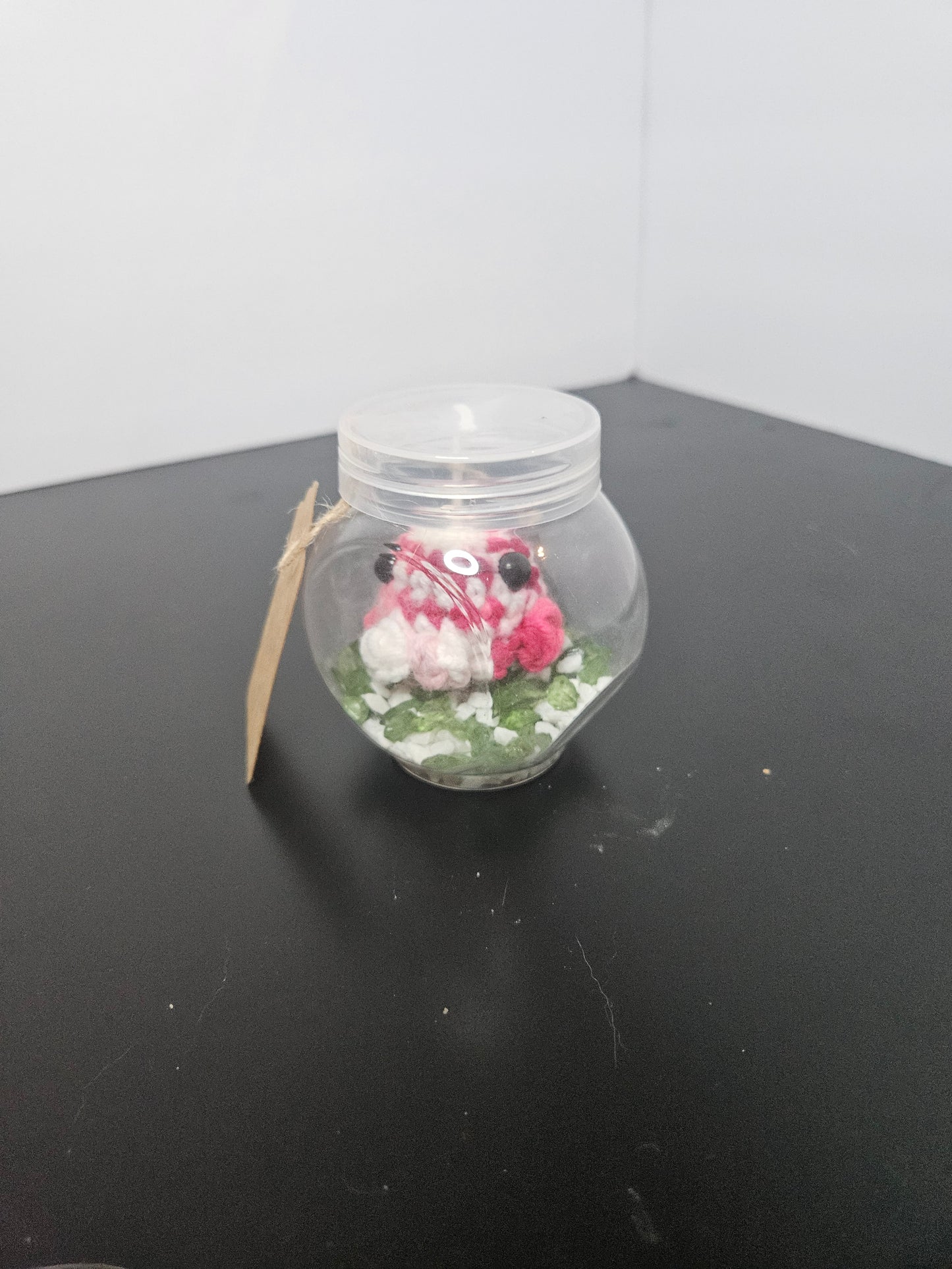 Octopus mini aquarium