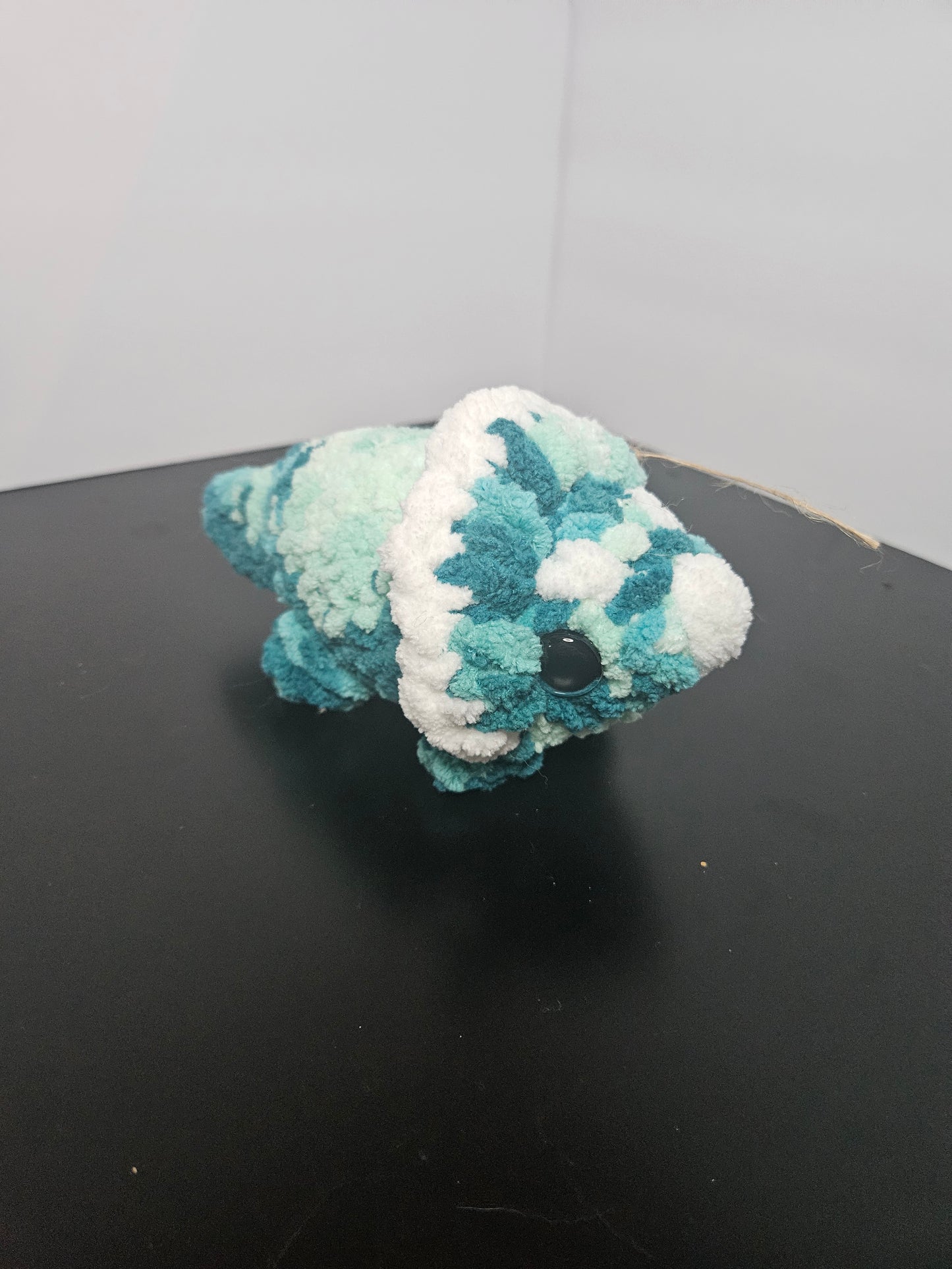 Multicolor Triceratops