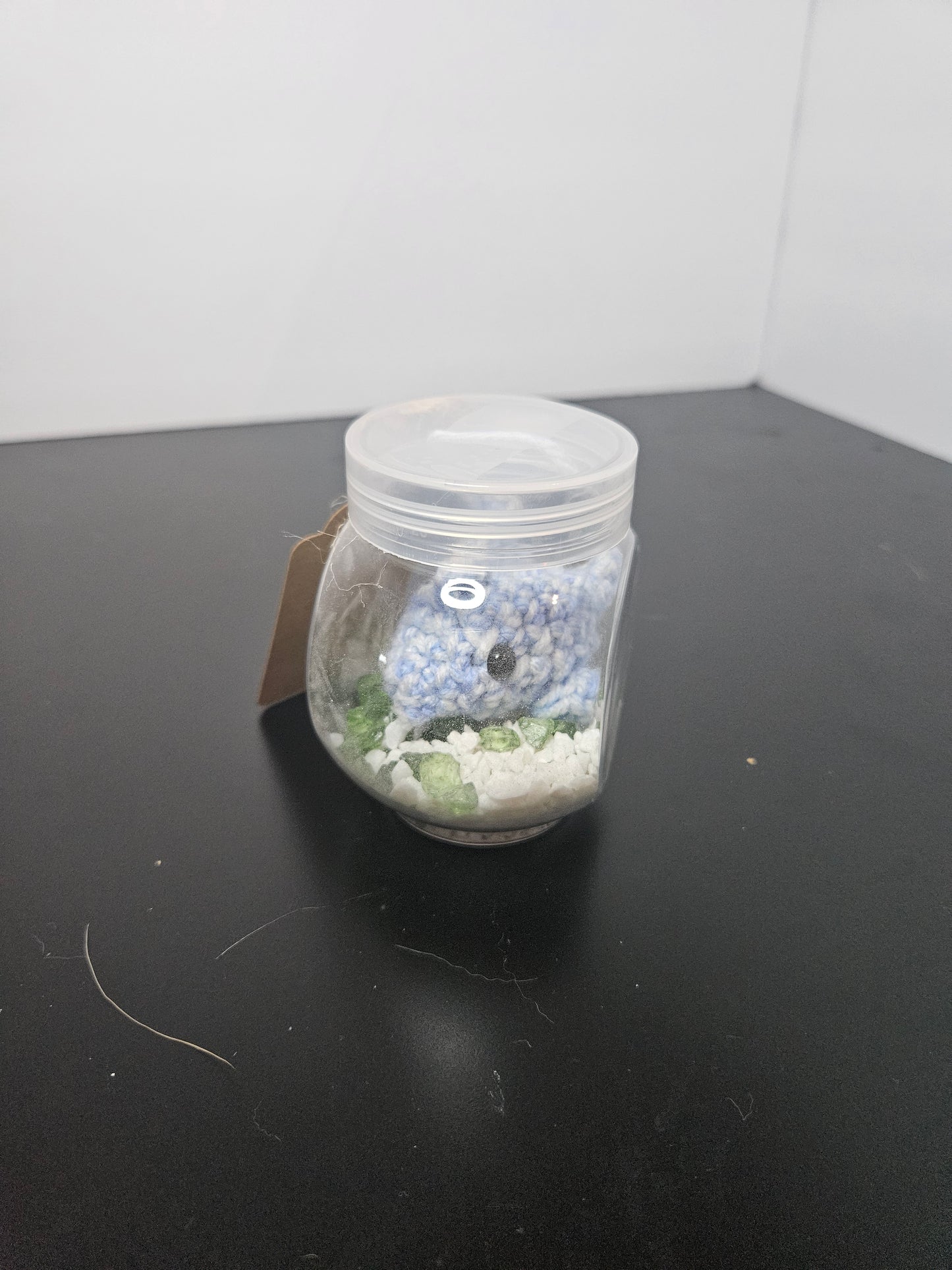 Dolphin mini aquarium