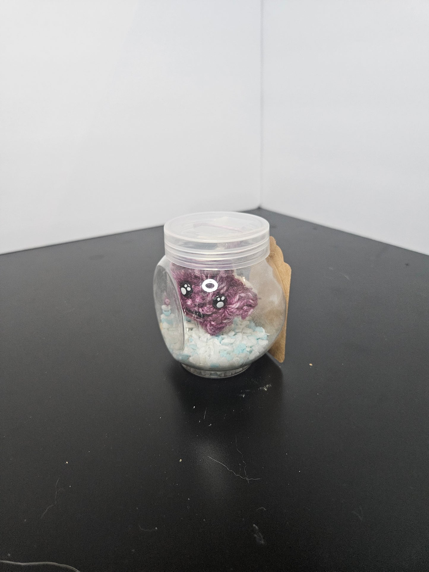 Starfish mini aquarium