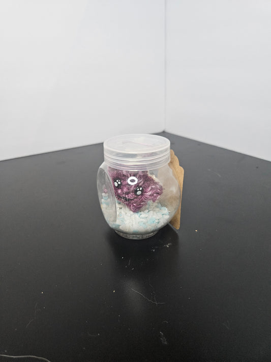 Starfish mini aquarium