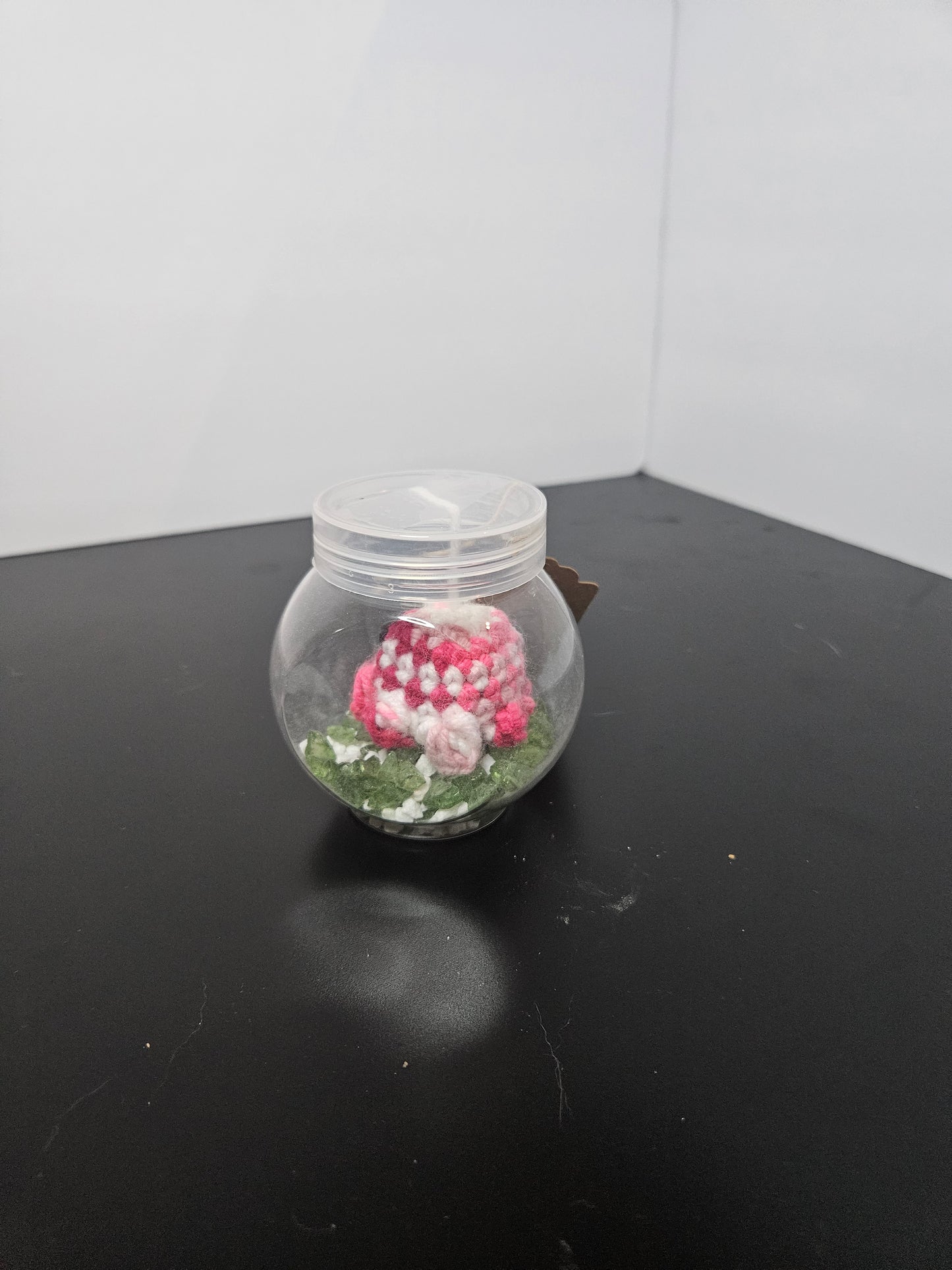 Octopus mini aquarium