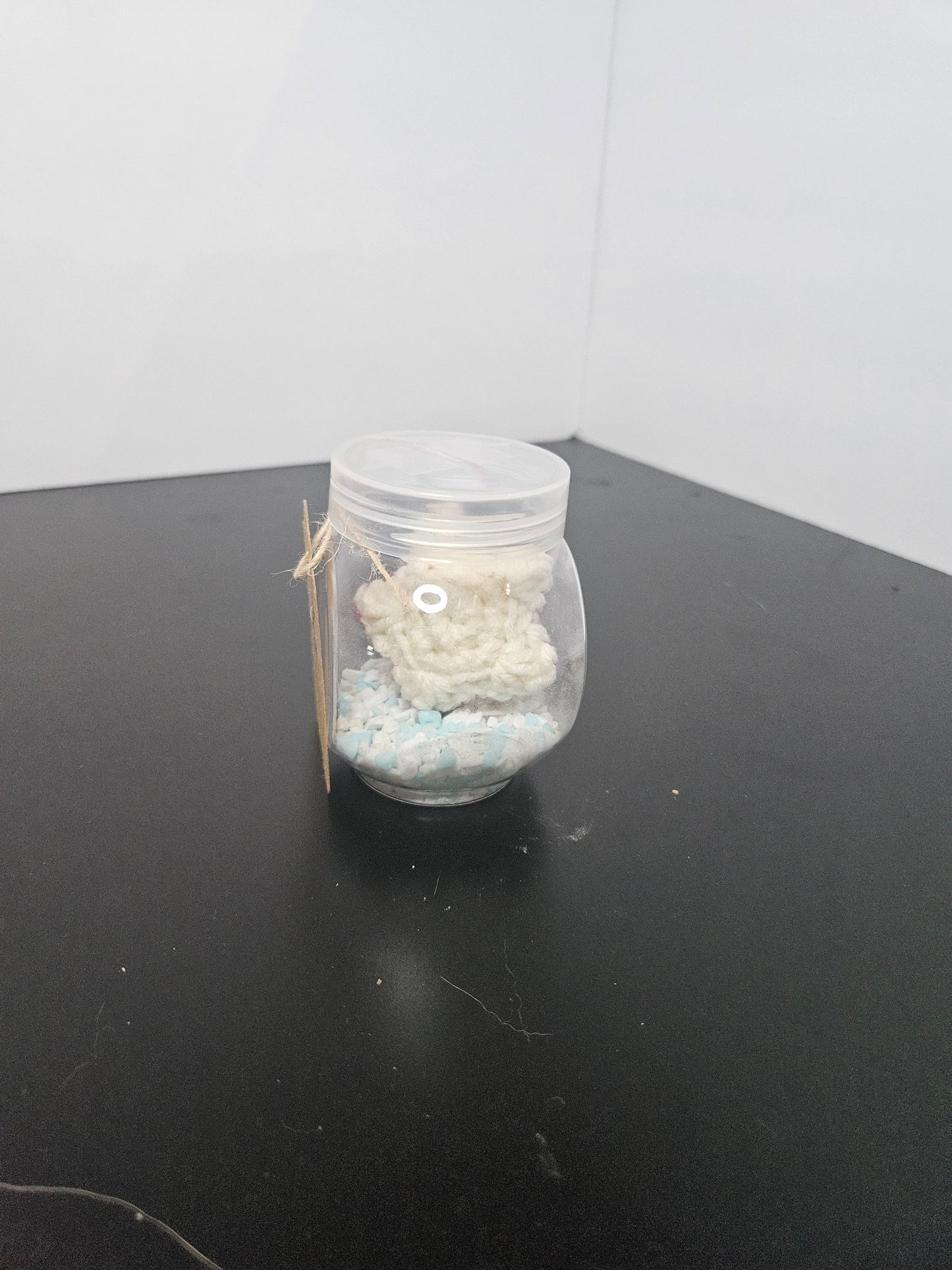 Starfish mini aquarium